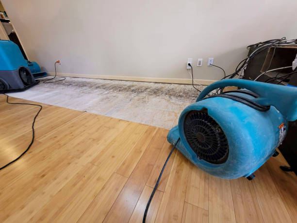 Professional Water Removal technician working in Corinth, ME